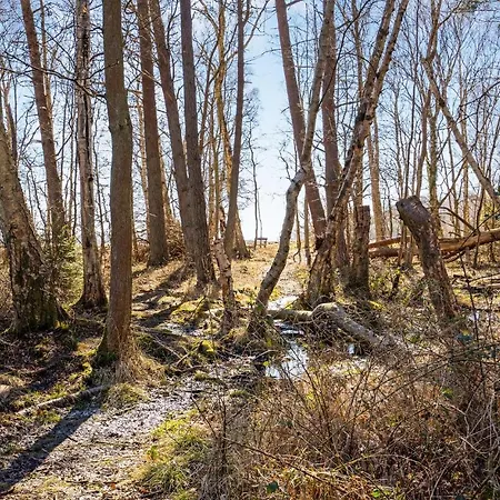 Dom wakacyjny Pet Friendly In *