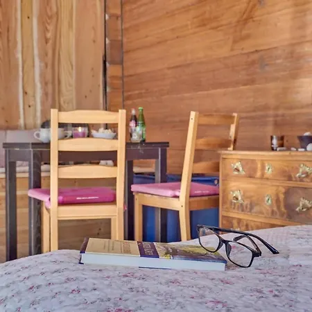 Dom wakacyjny Pet Friendly In *